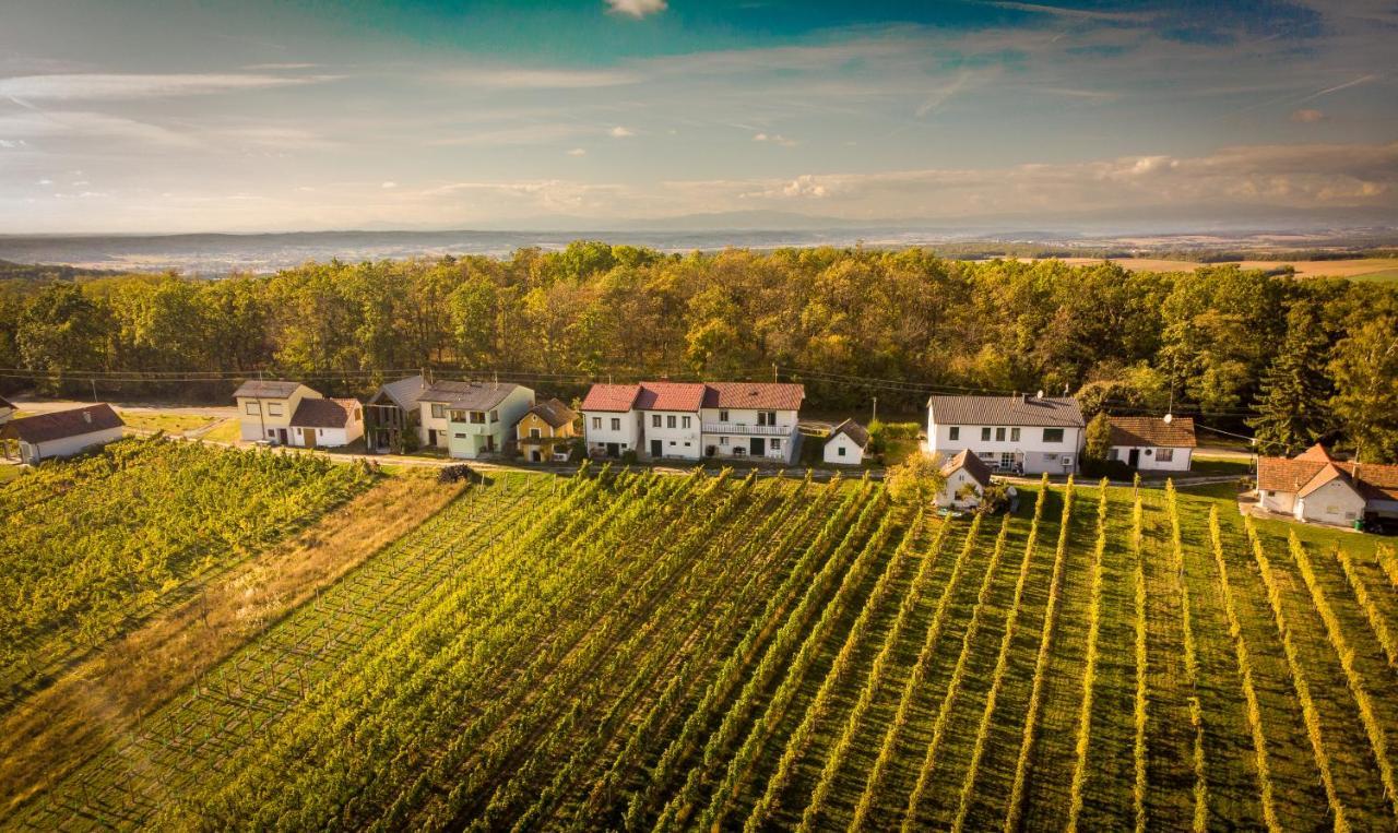 Ferienhaus Szapary II Eisenberg an der Pinka Екстер'єр фото