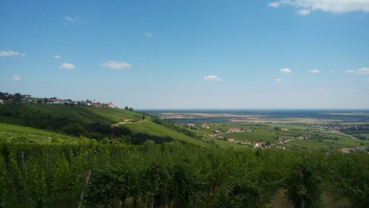 Ferienhaus Szapary II Eisenberg an der Pinka Екстер'єр фото