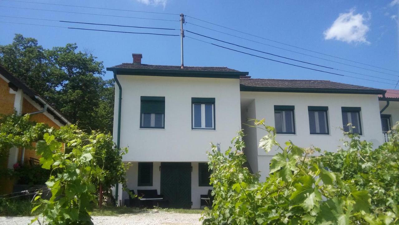 Ferienhaus Szapary II Eisenberg an der Pinka Екстер'єр фото