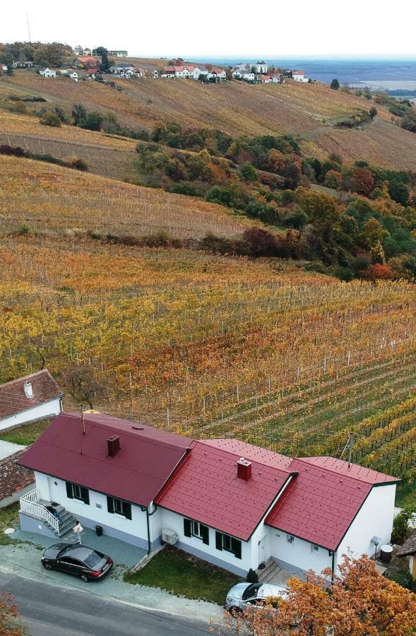 Ferienhaus Szapary II Eisenberg an der Pinka Екстер'єр фото